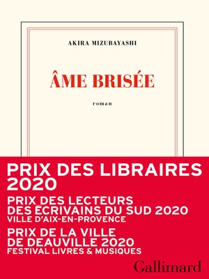 cover image of Âme brisée